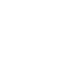 Instagram-iconV2