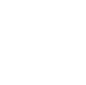 Instagram-iconV2