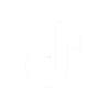 Tiktok-iconV2