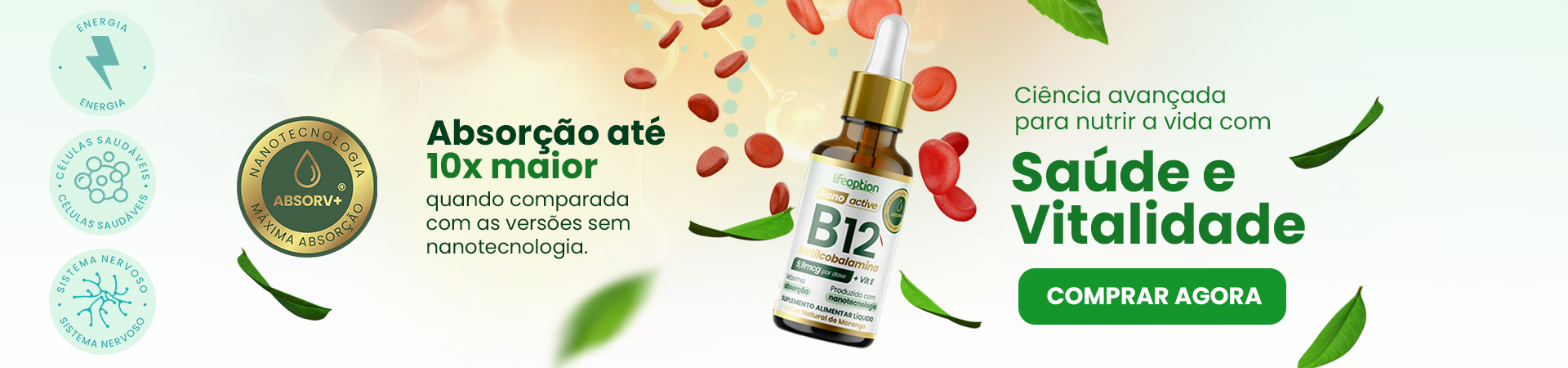 b12-home-desktop-agosto