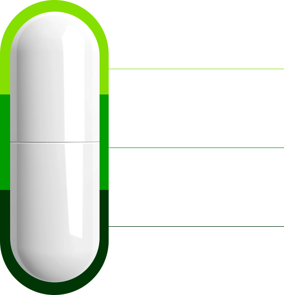 capsula-lisinc