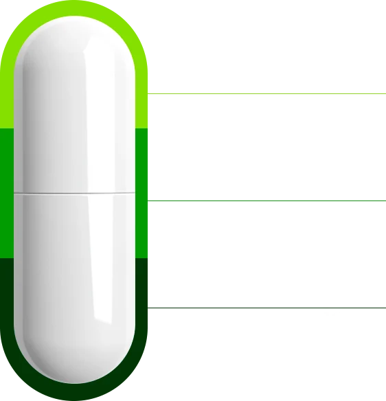 capsula-lisinc