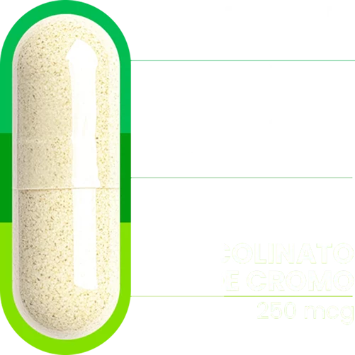 capsula-metabolic
