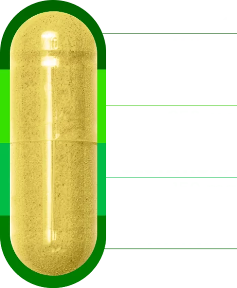 capsula-nac-composicaov2