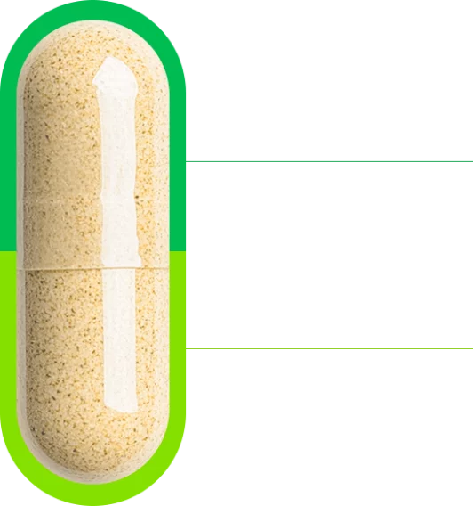 capsula-pea