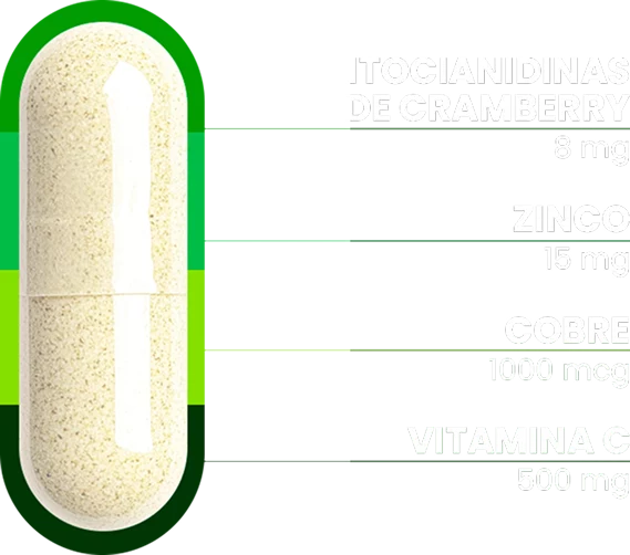 capsula-uroprevent