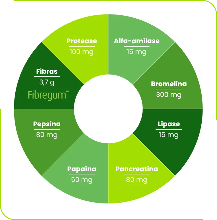 composicao-infografico-enzyfiber