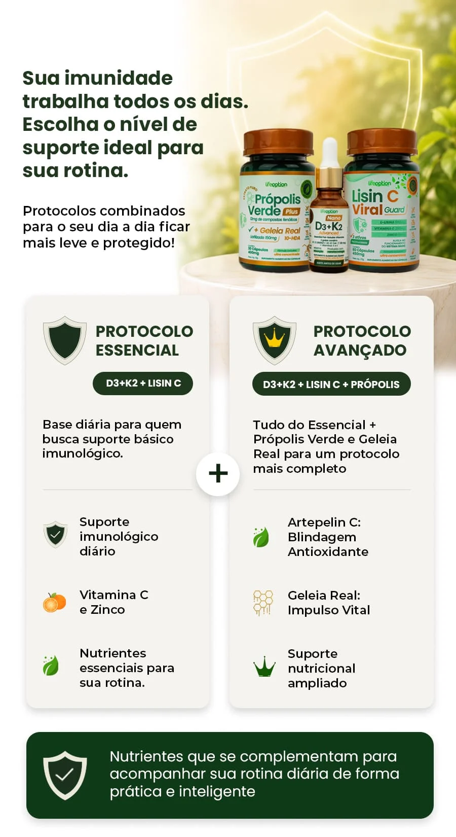 protocolo-d3-info-v5